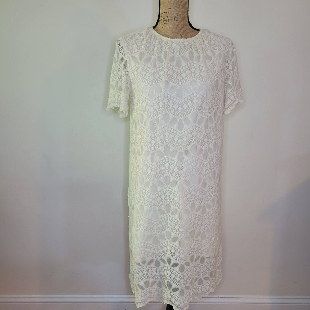 Zara Basic Collection Ivory Embroidered Lace Crew… - image 1